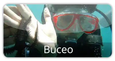Buceo en Acapulco